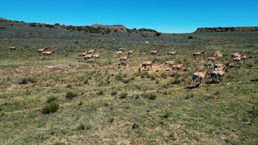 0 Bedroom Property for Sale in Lady Grey Eastern Cape